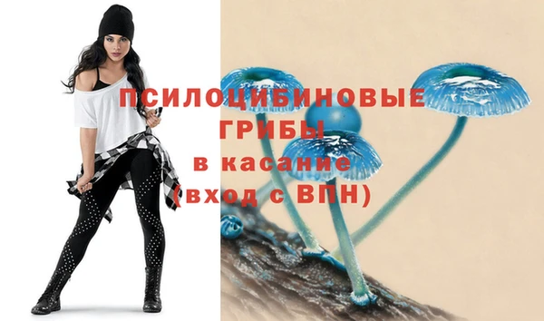 mdma Богданович