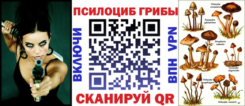 как найти   Медынь  mega сайт  Псилоцибиновые грибы Cubensis 